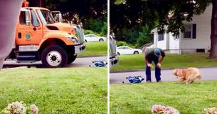 Man Stealthily Films Garbageman As He Approaches His Golden Retriever Man Stealthily Films Garbageman As He Approaches His Golden Retriever