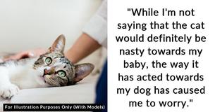 Wife Demands Husband Give Up His 18-Year-Old Cat Because It Is Aggressive Wife Demands Husband Give Up His 18-Year-Old Cat Because It Is Aggressive