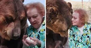 Actress Betty White At 99 Gives Giant Grizzly Bear A Kiss Actress Betty White At 99 Gives Giant Grizzly Bear A Kiss