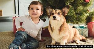 Le mamme esortano i proprietari di animali ad astenersi dal definire gli animali Le mamme esortano i proprietari di animali ad astenersi dal definire gli animali