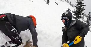 Dog Trapped In Avalance Is Rescued By College Students On Skiing Trip Dog Trapped In Avalance Is Rescued By College Students On Skiing Trip