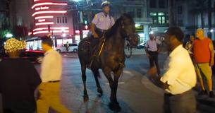 Police Horse Seems To Dance Along To Jazz Music In The Street Police Horse Seems To Dance Along To Jazz Music In The Street