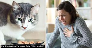 Stepdaughter Demands Cat Go Vegan Because Smell Of Cat Food Makes Her Sick Stepdaughter Demands Cat Go Vegan Because Smell Of Cat Food Makes Her Sick