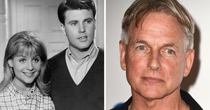 The Sad Downward Spiral Of Kristin Nelson, NCIS Actor Mark Harmon’s Late Sister The Sad Downward Spiral Of Kristin Nelson, NCIS Actor Mark Harmon’s Late Sister
