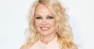 Pamela Anderson Moves To Divorce Dan Hayhurst, Her 5th Husband Pamela Anderson Moves To Divorce Dan Hayhurst, Her 5th Husband