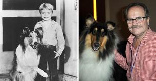 Jon Provost ‘Grew Up’ With ‘Lassie’ — 72-Year-Old Fondly Remembers His Time As Timmy Jon Provost ‘Grew Up’ With ‘Lassie’ — 72-Year-Old Fondly Remembers His Time As Timmy