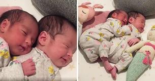Pasgeboren tweeling knuffelt liefdevol in schattige video Pasgeboren tweeling knuffelt liefdevol in schattige video