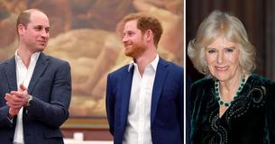 Il principe William e Harry Il principe William e Harry