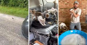 Man Praised As 'Hero' After Posting Viral Video Of Himself Saving 13 Kittens Man Praised As 'Hero' After Posting Viral Video Of Himself Saving 13 Kittens