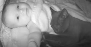 Mother Releases Adorable Babycam Video Showing Off Her Family’s ‘Baby And Cat Bond’ Mother Releases Adorable Babycam Video Showing Off Her Family’s ‘Baby And Cat Bond’