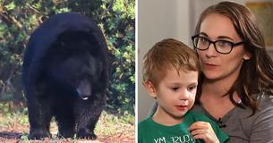 3-Year-Old Boy Claims Friendly Bear Kept Him Company During 3-Day Disappearance 3-Year-Old Boy Claims Friendly Bear Kept Him Company During 3-Day Disappearance