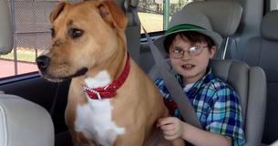 Rescue Dog Helps Autistic Child Find His Voice And Overcome Anxiety Rescue Dog Helps Autistic Child Find His Voice And Overcome Anxiety
