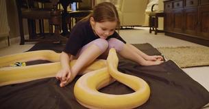 Amazed Dad Loves Filming His Daughter’s ‘Gentle’ Friendship With 15-Foot Pythons Amazed Dad Loves Filming His Daughter’s ‘Gentle’ Friendship With 15-Foot Pythons