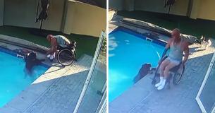 Man In Wheelchair Saves Panicking 110-Pound Rottweiler Who Can't Get Out Of Pool Man In Wheelchair Saves Panicking 110-Pound Rottweiler Who Can't Get Out Of Pool