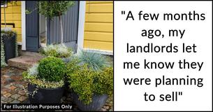 Tenant Moves Out And Takes Garden, Upsetting Landlords And Potential Buyers Tenant Moves Out And Takes Garden, Upsetting Landlords And Potential Buyers
