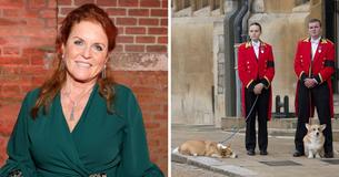Queen Elizabeth II’s Corgis, Sandy & Muick, ‘Spoiled Rotten’ By Fergie & Prince Andrew Queen Elizabeth II’s Corgis, Sandy & Muick, ‘Spoiled Rotten’ By Fergie & Prince Andrew