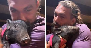 Jason Momoa Takes Wild Pig Home From Set And Wants To ‘Paint’ Its Nails Pink Jason Momoa Takes Wild Pig Home From Set And Wants To ‘Paint’ Its Nails Pink