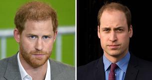 A meia-irmã perdida dos príncipes Harry e William deixou os fãs sem palavras A meia-irmã perdida dos príncipes Harry e William deixou os fãs sem palavras