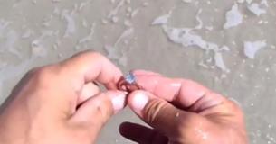 Kind-Hearted Man Returns $40,000 Diamond Ring He Randomly Finds On The Beach Kind-Hearted Man Returns $40,000 Diamond Ring He Randomly Finds On The Beach