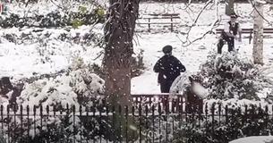 Polizeibeamte sorgen mit Schneeballschlacht im Park für Kritik Polizeibeamte sorgen mit Schneeballschlacht im Park für Kritik