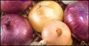 The Onion Is A Powerful Natural Remedy. 12 Surprising Uses Of Onions You Might Not Know About The Onion Is A Powerful Natural Remedy. 12 Surprising Uses Of Onions You Might Not Know About