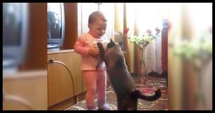 Mama Cat Steals Crying Kitten Back From Toddler Mama Cat Steals Crying Kitten Back From Toddler