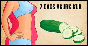 Denne simple 7 dags madplan vil hjælpe dig med at tabe dig hurtigt Denne simple 7 dags madplan vil hjælpe dig med at tabe dig hurtigt