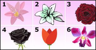 Choose The Most Beautiful Flower And Discover A Beautiful Secret About Your Personality Choose The Most Beautiful Flower And Discover A Beautiful Secret About Your Personality