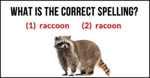 This Spelling Test Is Driving The Internet Wild This Spelling Test Is Driving The Internet Wild