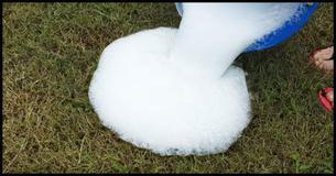A Mom Poured A Bubble Solution On Her Grass And Found Something Disgusting Hiding In Her Lawn A Mom Poured A Bubble Solution On Her Grass And Found Something Disgusting Hiding In Her Lawn