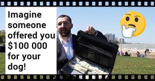 Would You Sell Your Family Dog? What If Someone Offered You $100 000? Would You Sell Your Family Dog? What If Someone Offered You $100 000?