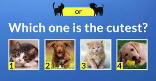 Are You A Dog Or A Cat Person? Are You A Dog Or A Cat Person?