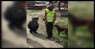 Little Dog Was Lost And Lonely For Years, Watch The Heart-Wrenching Moment She Smells A Familiar Smell Little Dog Was Lost And Lonely For Years, Watch The Heart-Wrenching Moment She Smells A Familiar Smell