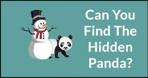 Can You Find The Hidden Panda? Can You Find The Hidden Panda?