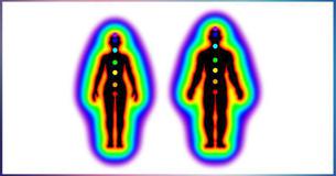 Test To Determine The Actual Color Of Your Aura Test To Determine The Actual Color Of Your Aura