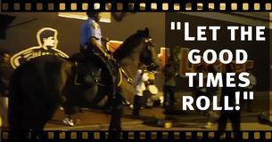 Even Horses In New Orleans Like To Dance When They Hear Music, The Audience Is Stunned When They See Him Groove Even Horses In New Orleans Like To Dance When They Hear Music, The Audience Is Stunned When They See Him Groove