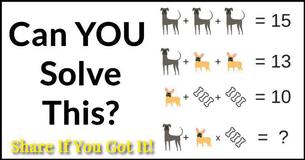 How Much Is That Doggy In The Window Take #1 How Much Is That Doggy In The Window Take #1