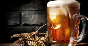 10 Good Reasons To Drink A Beer Number 6 Is Especially Important 10 Good Reasons To Drink A Beer Number 6 Is Especially Important
