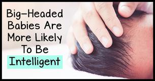 Research Says Babies With Big Heads Are More Likely To Be Intelligent Research Says Babies With Big Heads Are More Likely To Be Intelligent