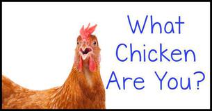 What Chicken Are You? What Chicken Are You?
