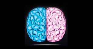 Is Your Brain More Female or Male? Is Your Brain More Female or Male?