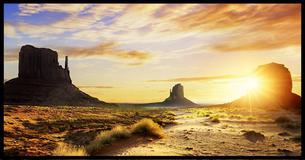 What Geographical Temperate Zone Do These Photos Belong To? What Geographical Temperate Zone Do These Photos Belong To?