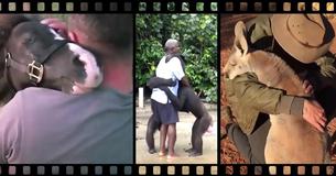 Heartwarming Video Of The Day: Humans Rescuing Animals Heartwarming Video Of The Day: Humans Rescuing Animals