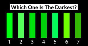 How Good Is Your Color Shade Vision? How Good Is Your Color Shade Vision?