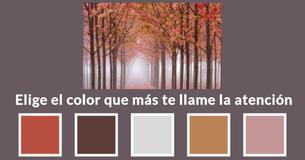 ¿Qué fuiste en una vida anterior de acuerdo con los colores que elijas? ¿Qué fuiste en una vida anterior de acuerdo con los colores que elijas?
