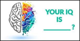 What Is Your IQ? What Is Your IQ?