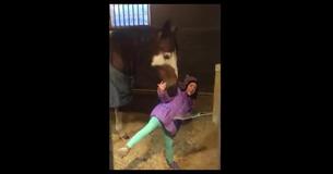 Girl Disappears Every Morning During Chores, Then Mom Walks In On Her Secret Inside Barn Girl Disappears Every Morning During Chores, Then Mom Walks In On Her Secret Inside Barn