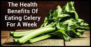 Transform Your Body By Eating Celery For A Week Transform Your Body By Eating Celery For A Week