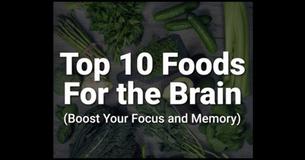 Top 10 Foods For The Brain Top 10 Foods For The Brain