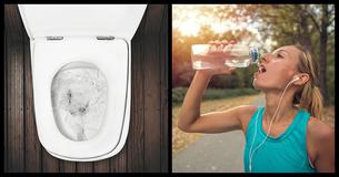 Would You Believe That Drinking Toilet Water Is Actually Good For You? Would You Believe That Drinking Toilet Water Is Actually Good For You?